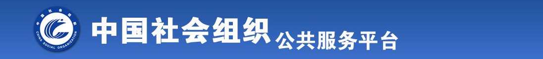 插插美女333全国社会组织信息查询